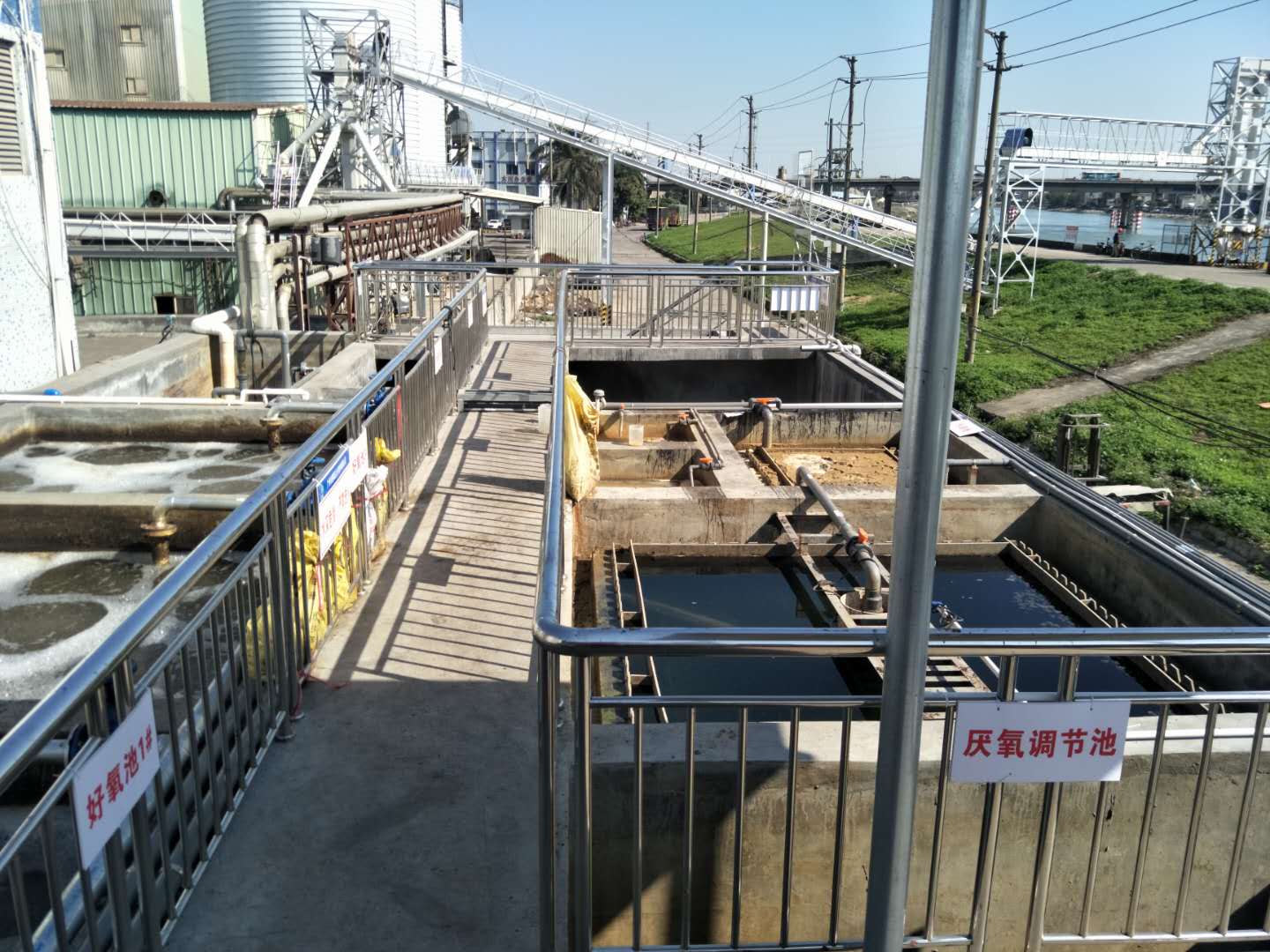 食品廢水植物處理技術，你知道嗎？