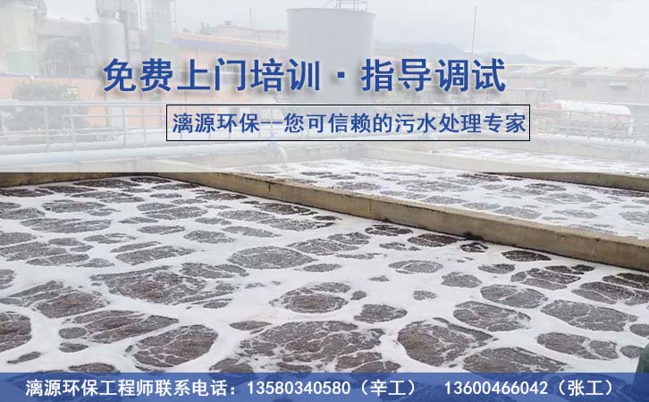 果醬加工廠廢水處理技術